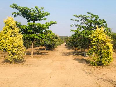 Project Image of 900.0 - 18000.0 Sq.ft Residential Plot Plot for buy in Sivom Sahasra Farmland 2