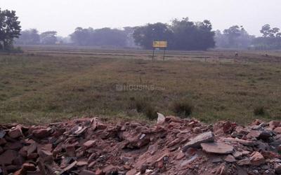Project Image of 1440.0 - 2160.0 Sq.ft Residential Plot Plot for buy in Naskar Green World
