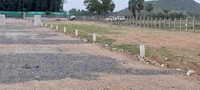 Project Image of 900.0 - 1200.0 Sq.ft Residential Plot Plot for buy in MS City Plots