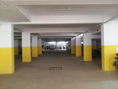 JS Sunflower Car Parking 1