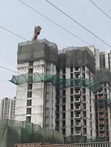 Project Image of 441.0 - 751.54 Sq.ft 1 BHK Apartment for buy in Lodha Foresta A B H And I