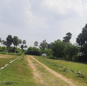 Project Image of 1500.0 - 2490.0 Sq.ft Residential Plot Plot for buy in Greenworld T G Nagar