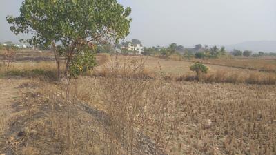 Towncity Plots in Chirle Plot 1