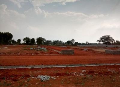 Project Image of 1180.0 - 1200.0 Sq.ft Residential Plot Plot for buy in Velpula Signature
