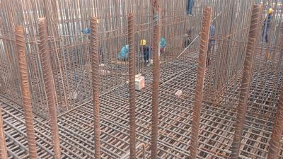 Project Image of 2270.69 - 2445.4 Sq.ft 3 BHK Apartment for buy in Pyramid Alban