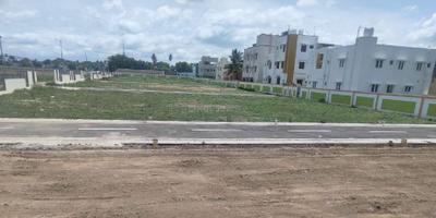 Project Images