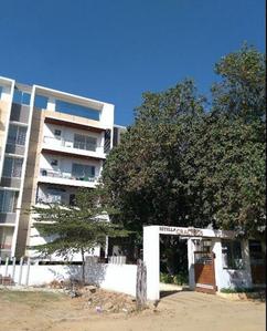 Estella Gracious Elevation 3