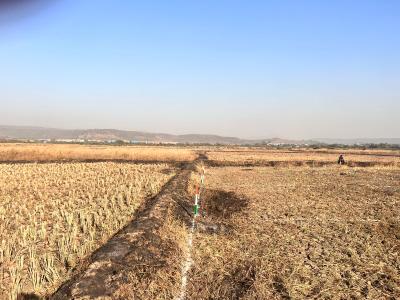 Project Image of 1000.0 - 5000.0 Sq.ft Residential Plot Plot for buy in Rama Pen