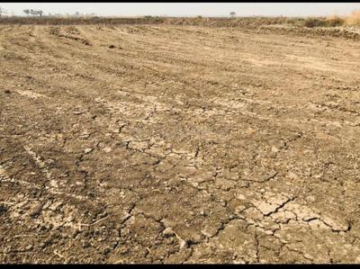 Project Image of 1000.0 - 10000.0 Sq.ft Residential Plot Plot for buy in Icon Chirle Lands