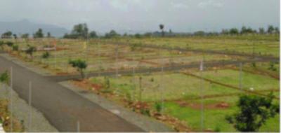 Project Images