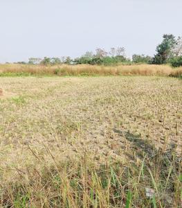 Project Image of 0.0 - 1000.0 Sq.ft Residential Plot Plot for buy in Zamindar Lands