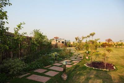 Project Image of 13608.0 - 36288.0 Sq.ft Residential Plot Plot for buy in Ecnon Sports Land