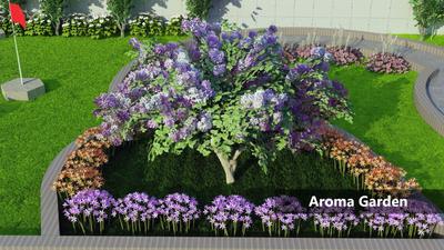 Project Image of 600.0 - 1800.0 Sq.ft Residential Plot Plot for buy in GTK Eden Garden