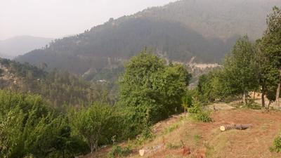 Project Image of 0.0 - 2200.0 Sq.ft Residential Plot Plot for buy in Aadi Divine Homes