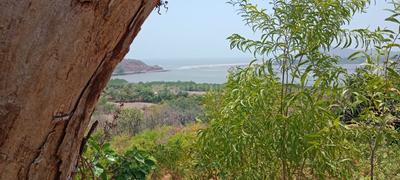 Project Image of 1000.0 - 10000.0 Sq.ft Residential Plot Plot for buy in Towncity Plots In Pen