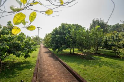 Project Image of 903.74 - 4717.07 Sq.ft Residential Plot Plot for buy in Suryo Udyog Green Village