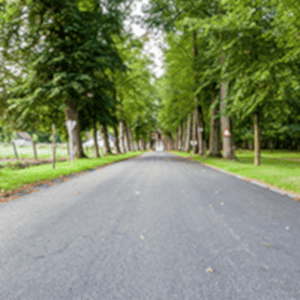 Project Image of 1503.0 - 3150.0 Sq.ft Residential Plot Plot for buy in BVR SV Electronic City Phase 1