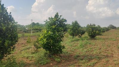 Project Image of 1620.0 - 3150.0 Sq.ft Residential Plot Plot for buy in Yugandhar RRR Riverside
