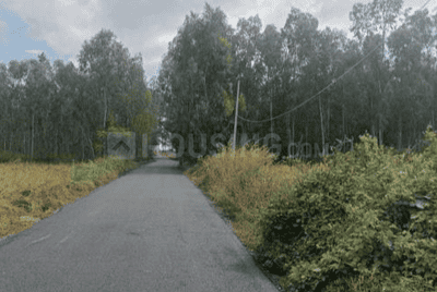 Project Image of 1127.11 - 2241.69 Sq.ft Residential Plot Plot for buy in Falcon Sun And Serenity