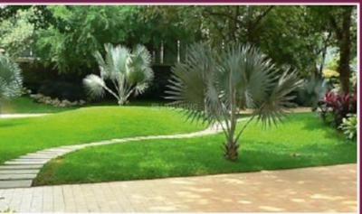 Project Image of 0.0 - 800.0 Sq.ft 3 BHK Villa for buy in Cord Smart Homes
