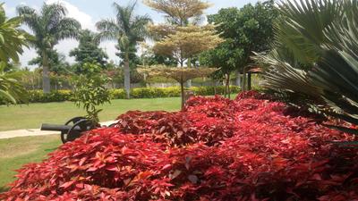 Project Image of 1295 Sq.ft 2 BHK Apartment / Flat for sale in Devinagar for Rs. 21100000