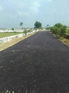 Dev Puri Internal Roads 1