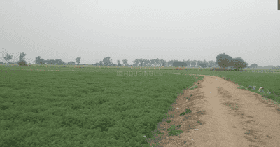 Project Image of 409.67 - 1179.83 Sq.ft Residential Plot Plot for buy in Shree Swastik Grand Phase 2