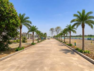 Project Image of 5000.0 - 5730.0 Sq.ft Agricultural Land Agricultural Land for buy in Kolar Green Farms