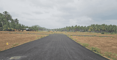 Project Images