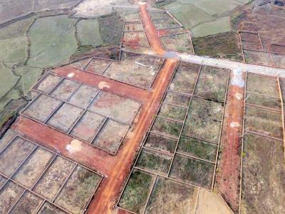 Project Image of 1500.0 - 2000.0 Sq.ft Residential Plot Plot for buy in Radha Madhab Nagar