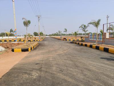 MS Nakshatra Plot 1