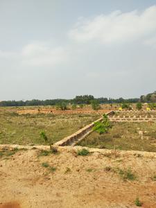 Project Image of 1200.0 - 3000.0 Sq.ft Residential Plot Plot for buy in ABSB Om Vihar