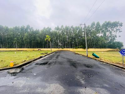 Project Image of 528.0 - 2166.0 Sq.ft Residential Plot Plot for buy in Pragau Kundrathur New Town I
