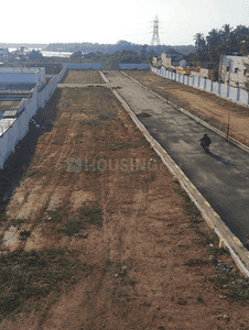 Project Images