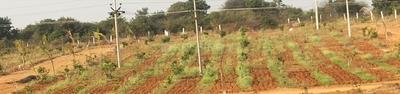 Project Image of 2178.0 - 4356.0 Sq.ft Residential Plot Plot for buy in RR Mega Siri Vanam
