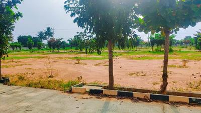 Project Image of 818.0 - 1990.0 Sq.ft Residential Plot Plot for buy in Prerana Greens