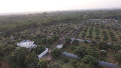 Project Image of 4500.0 - 18000.0 Sq.ft Residential Plot Plot for buy in Samruddhi Manikya Meadows Farm Plots