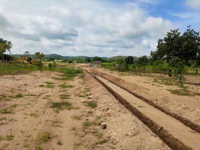 Project Image of 1485.0 - 7200.0 Sq.ft Residential Plot Plot for buy in Sree Bhuvi Pharma City