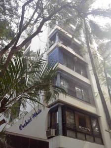 Orchid White Elevation 1