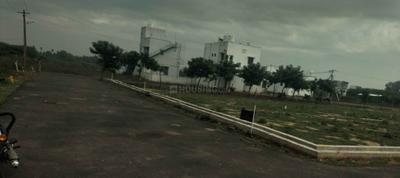 Project Images