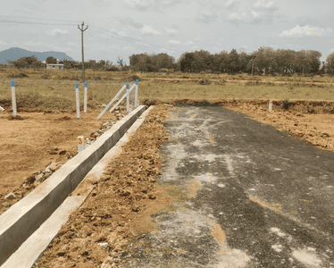 Project Images