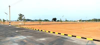 Project Image of 1703.0 - 4013.0 Sq.ft Residential Plot Plot for buy in Royal Village