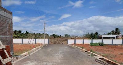 Project Images