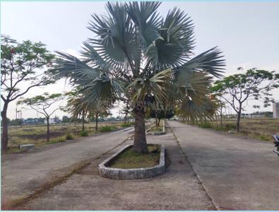 Project Image of 950.0 - 5020.0 Sq.ft Residential Plot Plot for buy in Sunderdeep Infocity Phase 2