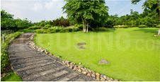 Project Image of 0.0 - 405.0 Sq.ft 1 BHK Apartment for buy in Green City