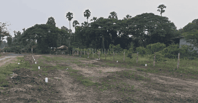 Project Images