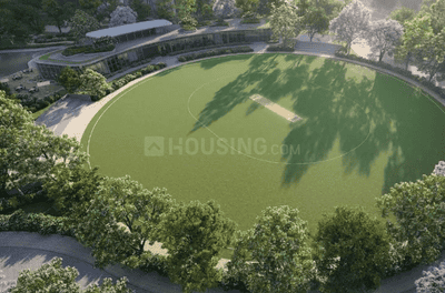 Project Images