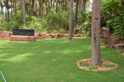 Project Image of 1390.0 - 4145.0 Sq.ft Residential Plot Plot for buy in Emerald Coconut Grove