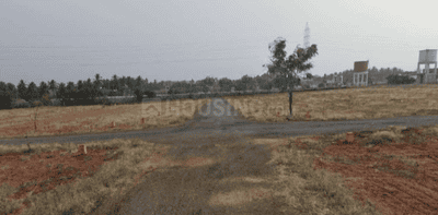 Project Images