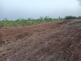 Mahamumbai Plots In Khopata Township Plot 1
